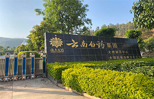 云南白藥.jpg