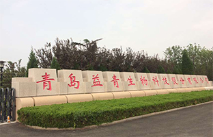 益青實(shí)景.jpg